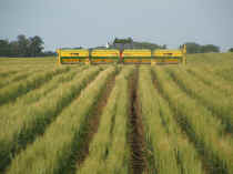 2005_1116Imagen0105.JPG (1049702 bytes)