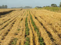 2005_1220Imagen0004.JPG (1098404 bytes)